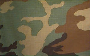 camo-fabric.jpg