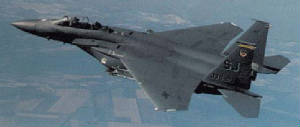 f-15pm.jpg