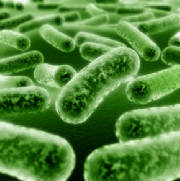 infection_250x251.jpg