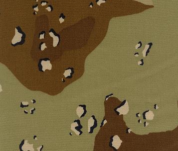chocchip.jpg