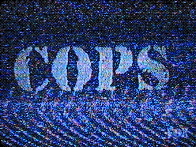 img_0369copsamv420187.gif