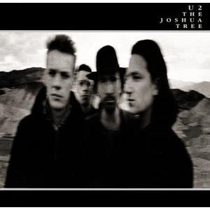 the-joshua-tree.jpg